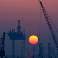 Portrait of a photographer (avatar)  IZ (IZ)