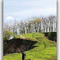 Portrait of a photographer (avatar) Николай Мельничук