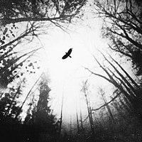 Portrait of a photographer (avatar) Шарапов Сергей (Sharapov Sergey)