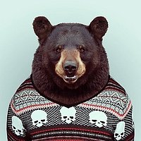 Portrait of a photographer (avatar) Владимир Хохлов (Vladimir Khokhlov)