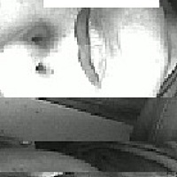 Portrait of a photographer (avatar) луиги трэвэчэ (Luigi Trevece)