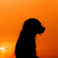 Portrait of a photographer (avatar) JORGE ELIECER VERGARA SALAZAR (Jorge Eliecer Vergara Salazar)