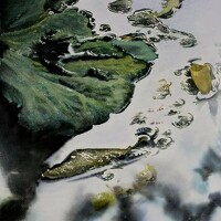 Portrait of a photographer (avatar) on the way～👣