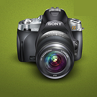 Portrait of a photographer (avatar) Wassim Export