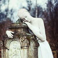 Portrait of a photographer (avatar) Tokareva Ekaterina