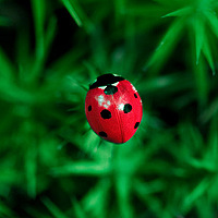 Portrait of a photographer (avatar) Magdalena