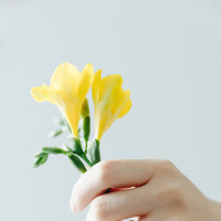 Portrait of a photographer (avatar) Chan Owen (Owen)