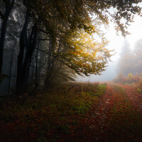 Portrait of a photographer (avatar) Пенов Пламен (Plamen Penov)