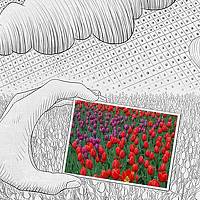 Portrait of a photographer (avatar) Алибаев Нургали (Alibayev Nurgali)