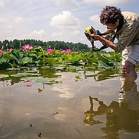 Portrait of a photographer (avatar) Будникова Юлия