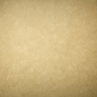 Portrait of a photographer (avatar) В. Б. (V. B.)