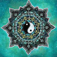 Portrait of a photographer (avatar) Chunhu Chang