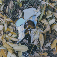 Portrait of a photographer (avatar) Андрей Скорняков (Andrey Skornyakov)