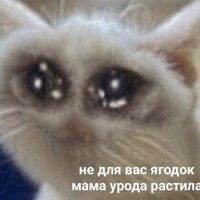 Portrait of a photographer (avatar) Владик Владик (Vla dik)