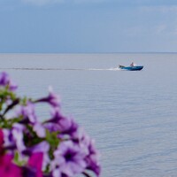 Portrait of a photographer (avatar) K. D.