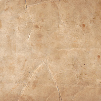 Portrait of a photographer (avatar) asdfg (asdfgh)