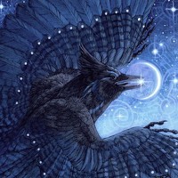 Portrait of a photographer (avatar) Marina