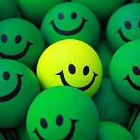 Portrait of a photographer (avatar) assa