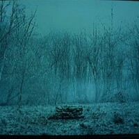 Portrait of a photographer (avatar) Bondarenko Timofej (Timofej Bondarenko)