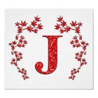 Portrait of a photographer (avatar) Jafar Baghdadi