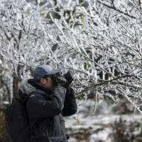 Portrait of a photographer (avatar) AlanMinh