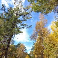 Portrait of a photographer (avatar) Пешков Егор (Peshkov Egor)