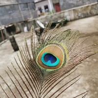 Portrait of a photographer (avatar) Anil Yadav (Anil Kumar Yadav)