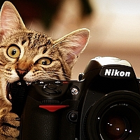 Portrait of a photographer (avatar) Георгий Дьяков (Georgy Dyakov)