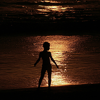 Portrait of a photographer (avatar) Oren S.