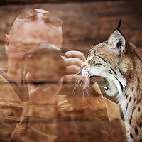 Portrait of a photographer (avatar) Dmitrii Sharov