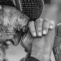 Portrait of a photographer (avatar) omaralnahi