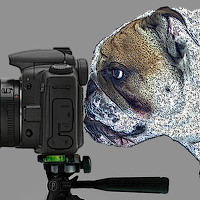 Portrait of a photographer (avatar) robert (Robert)