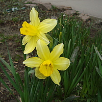 Portrait of a photographer (avatar) Жанна Н (Janna N)