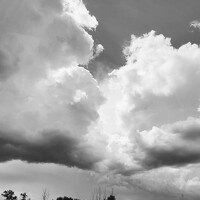 Portrait of a photographer (avatar) Павел