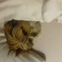 Portrait of a photographer (avatar) Stanley Fawcett (stan)