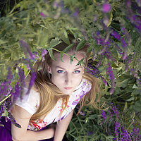 Portrait of a photographer (avatar) ashai (Ashai Autodefe)