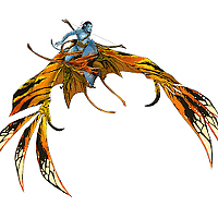 Portrait of a photographer (avatar) Andrew