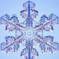 Portrait of a photographer (avatar) Снежана