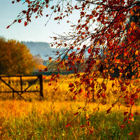 Портрет фотографа (аватар) Bartosz Gocek