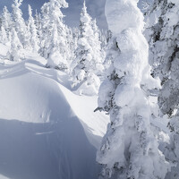 Portrait of a photographer (avatar) Светлана Андреева (Svetlana Andreeva)