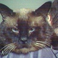 Portrait of a photographer (avatar) Юрий