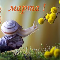 Portrait of a photographer (avatar) Виктор