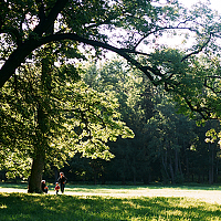 Portrait of a photographer (avatar) Саша Cаньтьяго (Sasha Santiago)
