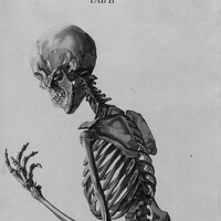 Portrait of a photographer (avatar)  Богдан