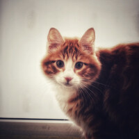 Portrait of a photographer (avatar) Art-y