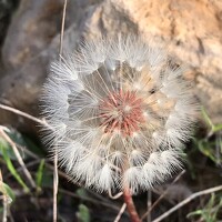 Portrait of a photographer (avatar) Grupoarte