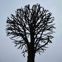 Portrait of a photographer (avatar) Ilya Katarov