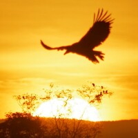 Portrait of a photographer (avatar) Андрей Б