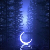 Portrait of a photographer (avatar) Melandi Smit