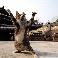 Portrait of a photographer (avatar) Small